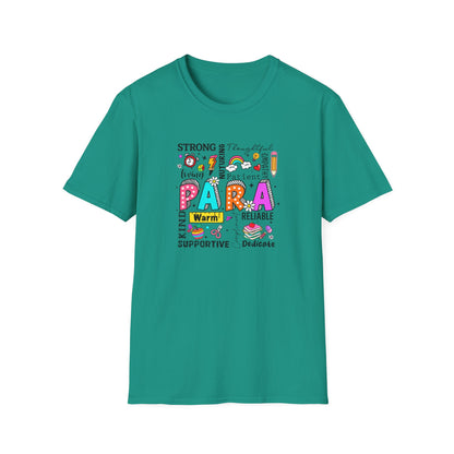 Paraprofessional Appreciation Shirt