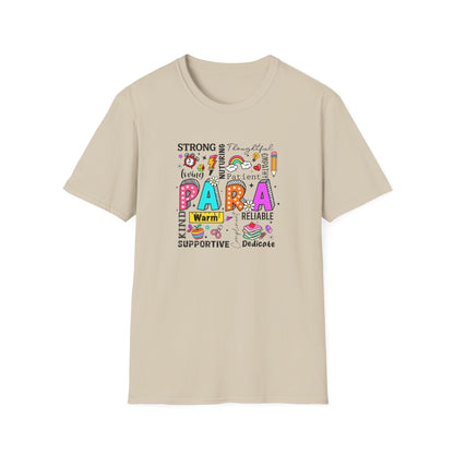 Paraprofessional Appreciation Shirt