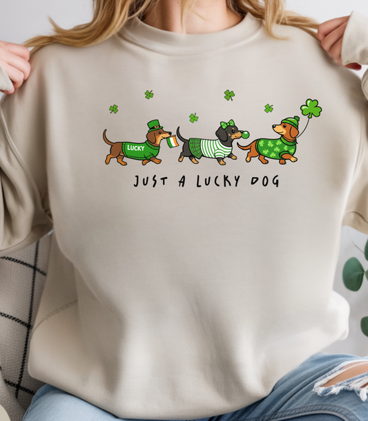 Long Sleeve Tee — 'Just a Lanky Dog' Dachshund St. Patrick's Day Graphic