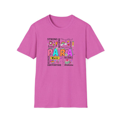 Paraprofessional Appreciation Shirt