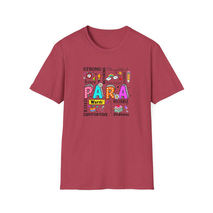 Paraprofessional Appreciation Shirt